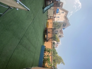 Image 1 Title