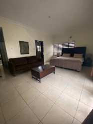 Image 1 Title