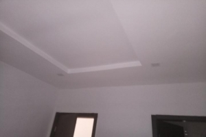 Image 1 Title