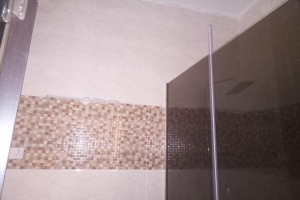 Image 1 Title