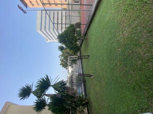 Image 1 Title