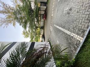 Image 1 Title