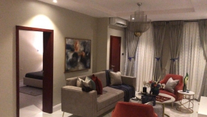  Cozy 2 Bedroom Apartment  2 bedroom Flat for Short let Lekki Lagos Vetra  Property