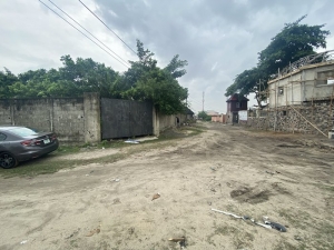 Image 1 Title