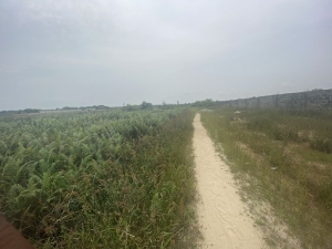 Lovely Dry Land  Land for Sale Ajah Lagos Vetra  Property