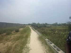 Image 1 Title