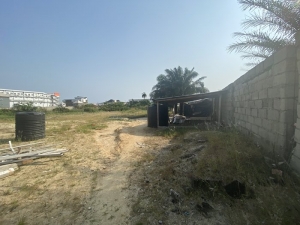 Image 1 Title
