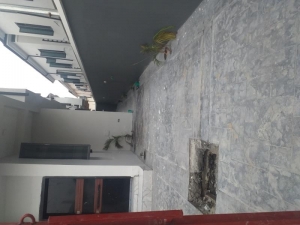 Image 1 Title
