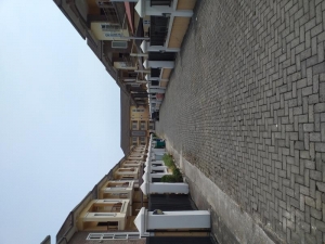 Image 1 Title