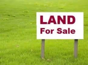  4 Plots Of Land  Land for Sale Oshodi Lagos Vetra  Property
