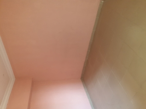 Image 1 Title
