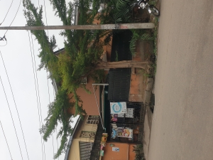  Standard 4units 2bedroom Flat On A Corner Piece Plot Of Land  2 bedroom Blocks of Flats for Sale Surulere Lagos Vetra  Property