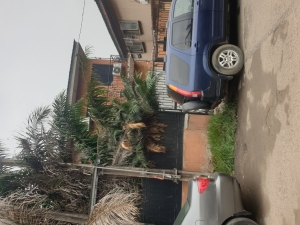 Image 1 Title