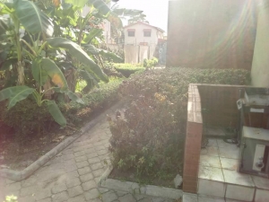 Image 1 Title