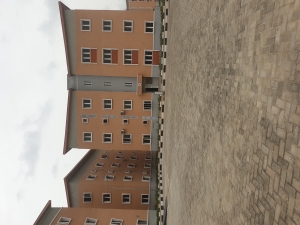 Image 1 Title