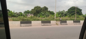 Image 1 Title