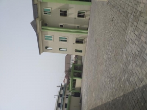 Image 1 Title