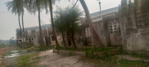 Image 1 Title