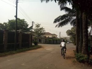Image 1 Title