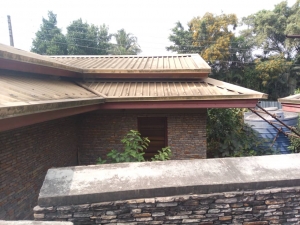 Image 1 Title