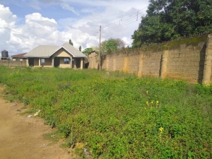  A 75% Completed Pure Water Factory Structure On A Fenced And Gated 5plots Of Land In A Serene Environment  Detached Bungalow for Sale Ilorin Kwara Vetra  Property