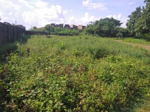 Image 1 Title