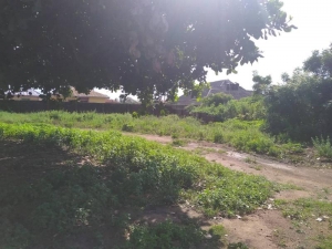 Image 1 Title
