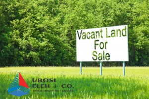  Fenced Land  Land for Sale Ibeju Lekki Lagos Vetra  Property