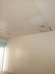 Image 1 Title