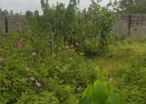  Fenced Land  Land for Sale Ikeja Lagos Vetra  Property
