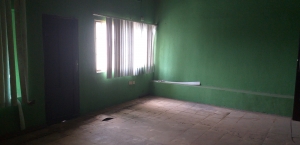 Image 1 Title