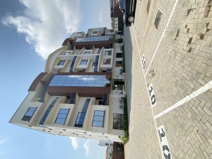 Image 1 Title