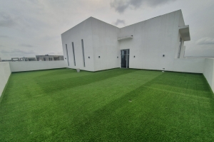 Image 1 Title