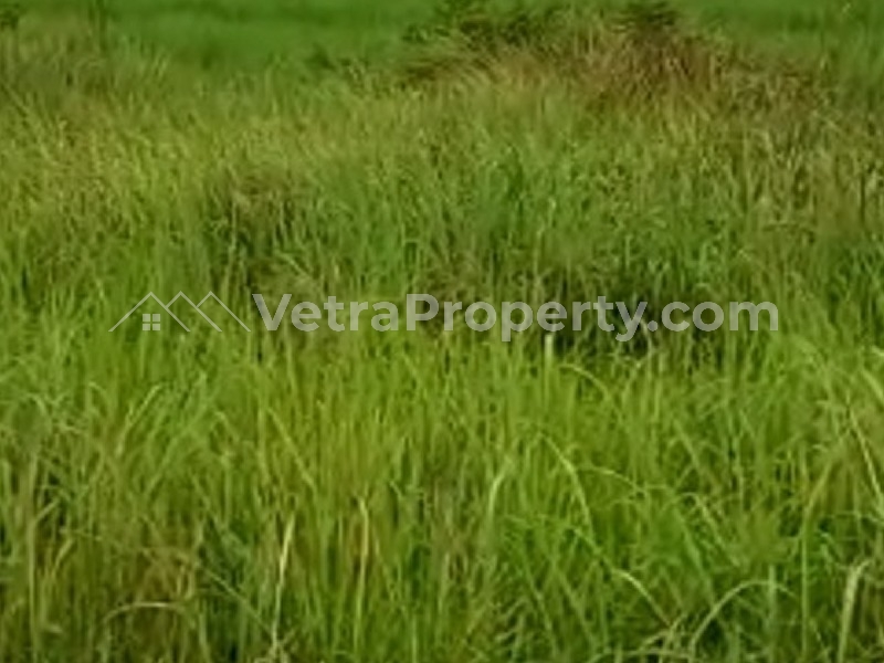  Land Measuring 1393 Sqm With 57 Meters Frontage With Cofo  1,393 Meter Square of Land for Sale Ikoyi Lagos Vetra  Property