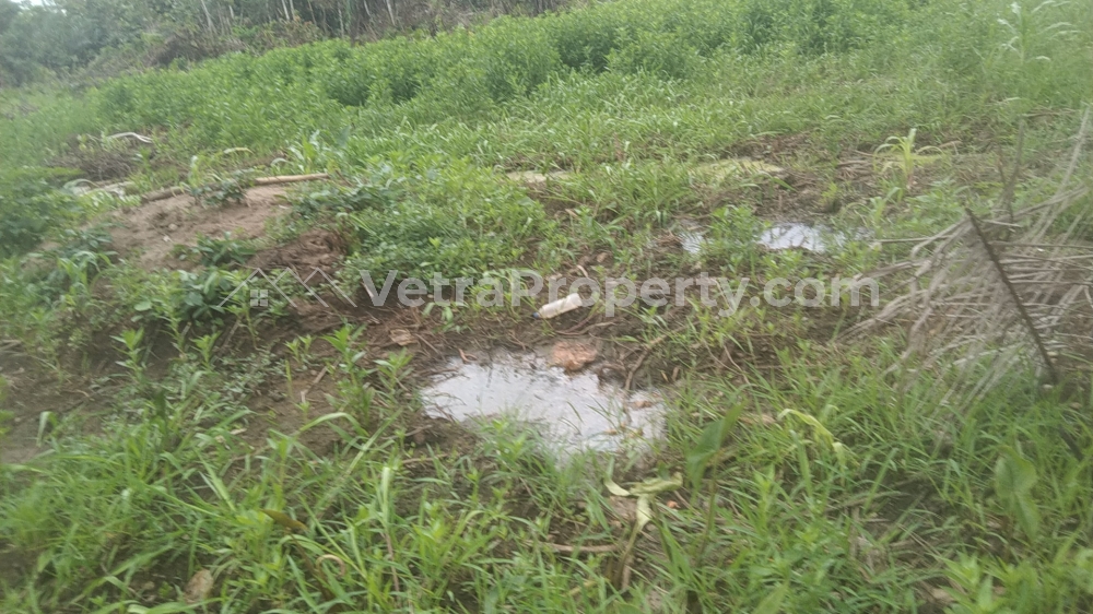  Cheap Half Plot Of Land In A Good Neighborhood  Land for Sale Ipaja Lagos Vetra  Property