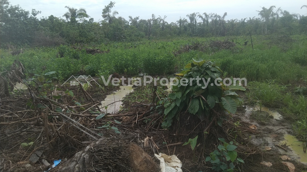  Cheap Half Plot Of Land In A Good Neighborhood At Itele  Land for Sale Ipaja Lagos Vetra  Property