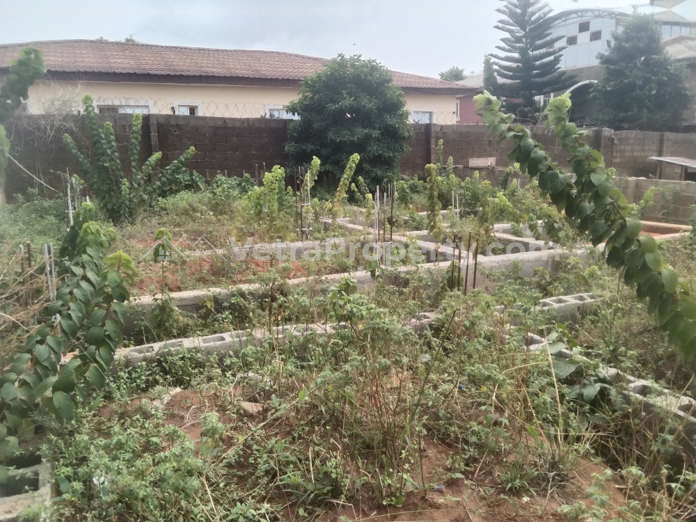  Half Plot With Foundation On It At New London Estate  Land for Sale Ipaja Lagos Vetra  Property