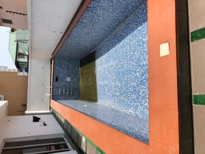 Image 1 Title