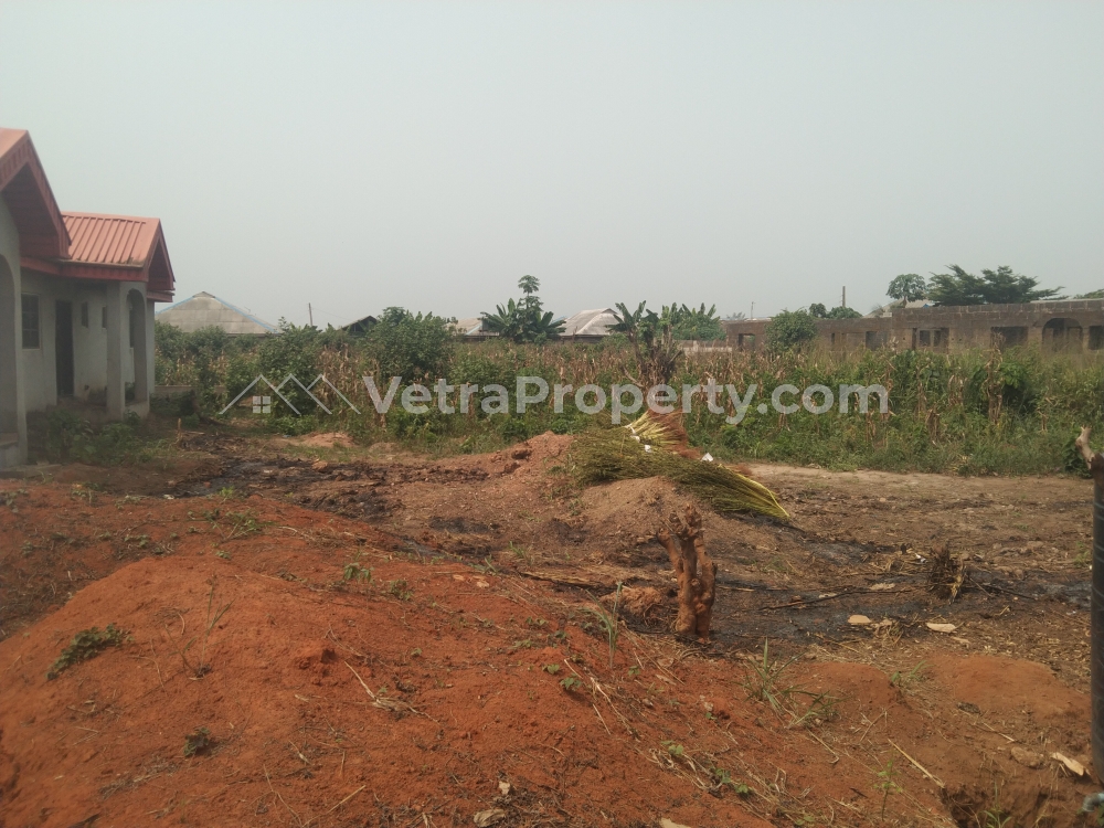  Full Plot Of Land Fenced Gate At Itele  Land for Sale Ipaja Lagos Vetra  Property
