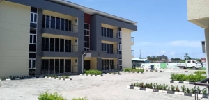 Image 1 Title