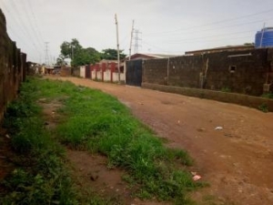 Image 1 Title