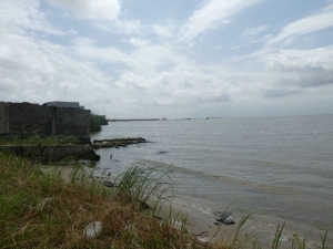 Image 1 Title
