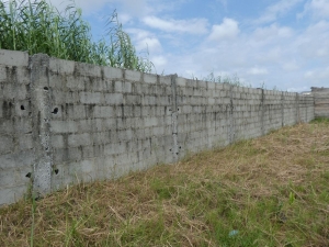 Image 1 Title