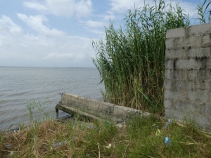 Image 1 Title