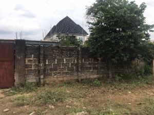 Image 1 Title