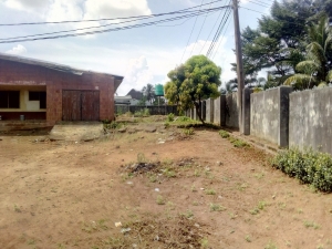 Image 1 Title