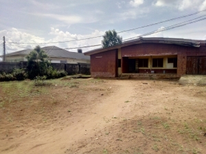 Image 1 Title