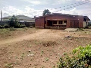 Image 1 Title