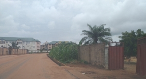 5 Plots Of Land With C Of O 5 Plots of Land for Sale Owerri Imo Vetra  Property