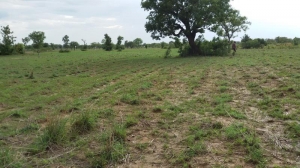 120 Plots Of Land For Sale With C Of O 120 Plots of Land for Sale Owerri Imo Vetra  Property